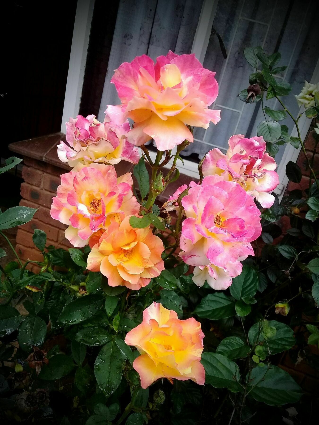 Lincoln Cottages Bnb & Self-Catering ปีเตอร์มาริตซ์เบิร์ก ภายนอก รูปภาพ